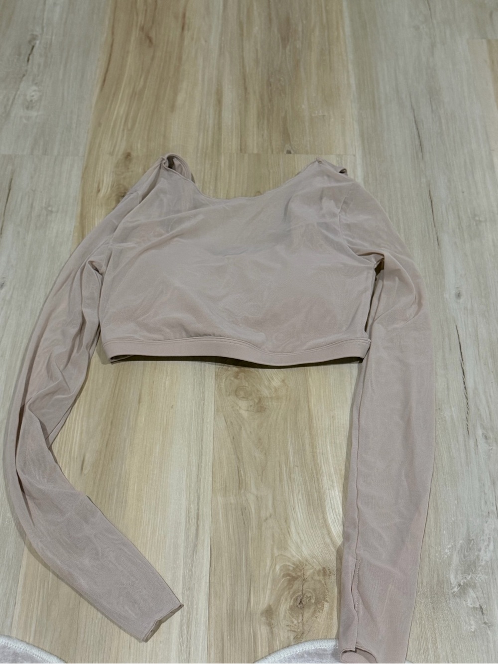 Long Sleeve Cropped Mesh Top - Nude